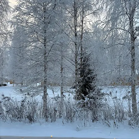 Spacious Family With Sauna & Free Parking Near Scv * Rovaniemi