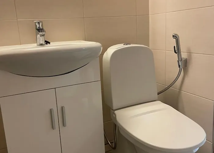 Spacious Family With Sauna & Free Parking Near Scv アパート *